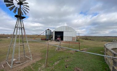 CAMPO FEEDLOT VENTA DIVERSOS USOS COMERCIALES PUEBLO MUÑOZ