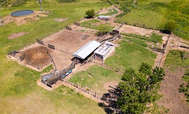 CAMPO FEEDLOT VENTA DIVERSOS USOS COMERCIALES PUEBLO MUÑOZ