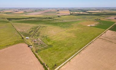 CAMPO FEEDLOT VENTA DIVERSOS USOS COMERCIALES PUEBLO MUÑOZ