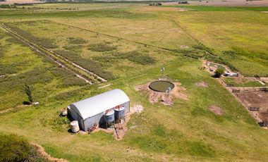 CAMPO FEEDLOT VENTA DIVERSOS USOS COMERCIALES PUEBLO MUÑOZ