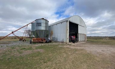 CAMPO FEEDLOT VENTA DIVERSOS USOS COMERCIALES PUEBLO MUÑOZ