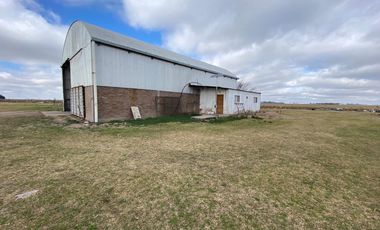 CAMPO FEEDLOT VENTA DIVERSOS USOS COMERCIALES PUEBLO MUÑOZ