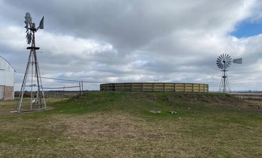 CAMPO FEEDLOT VENTA DIVERSOS USOS COMERCIALES PUEBLO MUÑOZ
