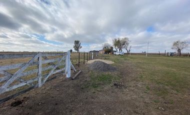 CAMPO FEEDLOT VENTA DIVERSOS USOS COMERCIALES PUEBLO MUÑOZ