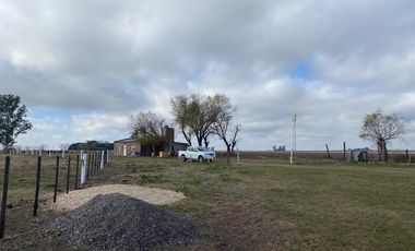 CAMPO FEEDLOT VENTA DIVERSOS USOS COMERCIALES PUEBLO MUÑOZ