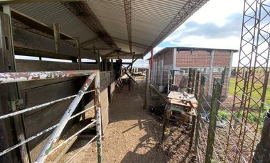 CAMPO FEEDLOT VENTA DIVERSOS USOS COMERCIALES PUEBLO MUÑOZ