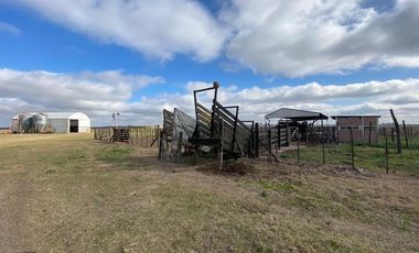 CAMPO FEEDLOT VENTA DIVERSOS USOS COMERCIALES PUEBLO MUÑOZ