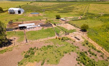 CAMPO FEEDLOT VENTA DIVERSOS USOS COMERCIALES PUEBLO MUÑOZ