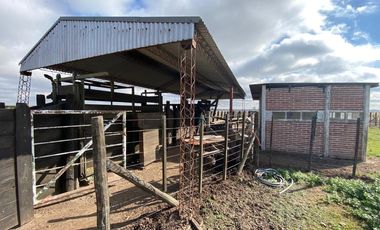 CAMPO FEEDLOT VENTA DIVERSOS USOS COMERCIALES PUEBLO MUÑOZ