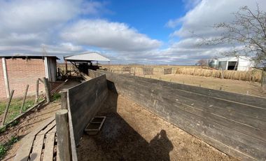 CAMPO FEEDLOT VENTA DIVERSOS USOS COMERCIALES PUEBLO MUÑOZ