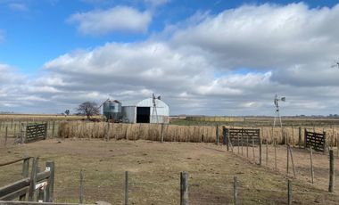 CAMPO FEEDLOT VENTA DIVERSOS USOS COMERCIALES PUEBLO MUÑOZ