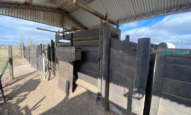 CAMPO FEEDLOT VENTA DIVERSOS USOS COMERCIALES PUEBLO MUÑOZ