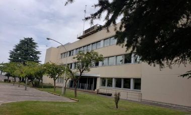 Alquiler oficina en Saavedra 2do piso (750 m2)