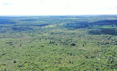 Se vende Chacra en Roca Chica 71 ha, Todo monte nativo con Arroyo