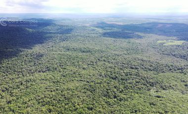 Se vende Chacra en Roca Chica 71 ha, Todo monte nativo con Arroyo