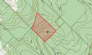 Se vende Chacra en Roca Chica 71 ha, Todo monte nativo con Arroyo