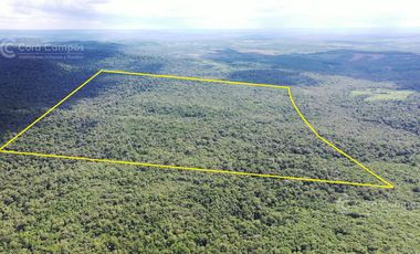 Se vende Chacra en Roca Chica 71 ha, Todo monte nativo con Arroyo