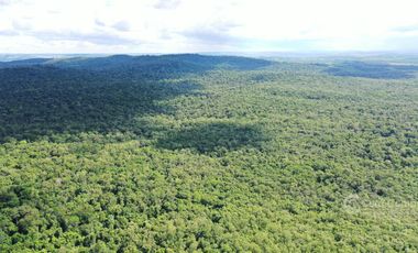 Se vende Chacra en Roca Chica 71 ha, Todo monte nativo con Arroyo