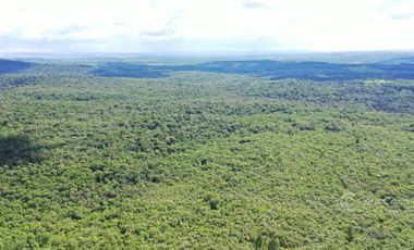 Se vende Chacra en Roca Chica 71 ha, Todo monte nativo con Arroyo
