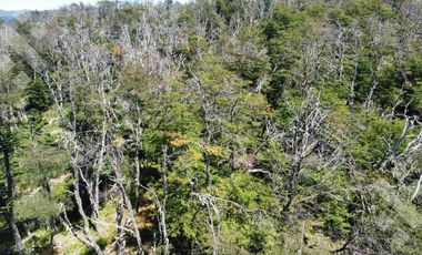 VENTA TERRENO 600 M2 - Bº KALEUCHE ALTO - SAN MARTIN DE LOS ANDES