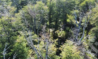 VENTA TERRENO 600 M2 - Bº KALEUCHE ALTO - SAN MARTIN DE LOS ANDES
