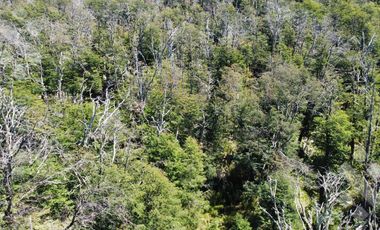 VENTA TERRENO 600 M2 - Bº KALEUCHE ALTO - SAN MARTIN DE LOS ANDES