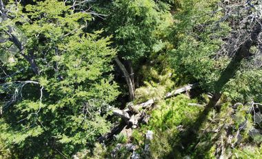 VENTA TERRENO 600 M2 - Bº KALEUCHE ALTO - SAN MARTIN DE LOS ANDES