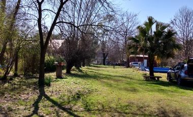 Quinta - 20 De Junio