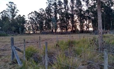 Terreno en venta - 2810Mts2 - Tandil