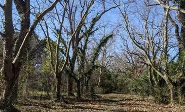Terreno en venta - 1725Mts2 - Berazategui