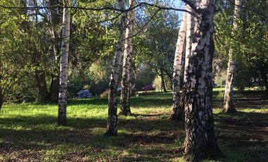 VENTA CHACRA LOS MAITENES – PARAÍSO EN PLENA PATAGONIA. Ruta nacional 40 y 