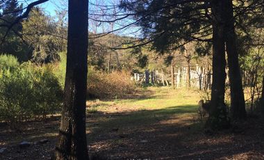VENTA CHACRA LOS MAITENES – PARAÍSO EN PLENA PATAGONIA. Ruta nacional 40 y 