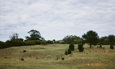 Terreno en venta - 1700Mts2 - Lobería