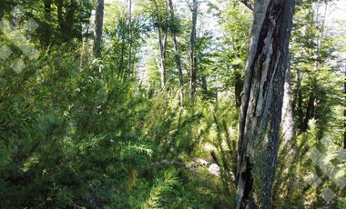 VENTA TERRENO 1051 M2 - Bº KALEUCHE ALTO - SAN MARTIN DE LOS ANDES