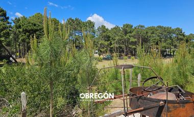 Casa en Venta - Pinamar - Costa Argentina