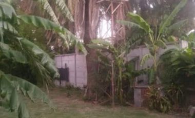 Casa en venta - 2 Dormitorios 1 Baño - 500Mts2 - Ituzaingó