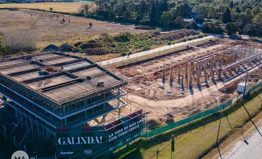 Galinda  03 - 26