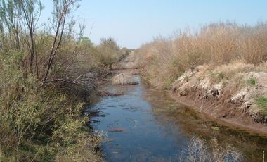 Campo en Resolana 1887 Has a 31km de San Rafael
