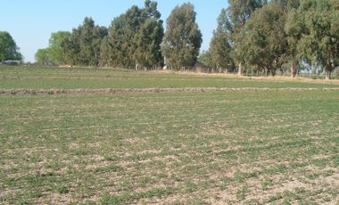 Campo en Resolana 1887 Has a 31km de San Rafael