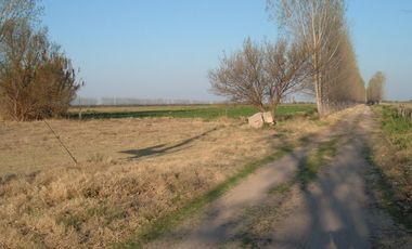 Campo en Resolana 1887 Has a 31km de San Rafael