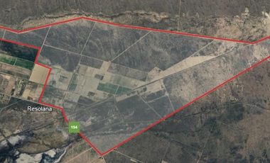 Campo en Resolana 1887 Has a 31km de San Rafael