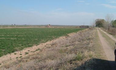 Campo en Resolana 1887 Has a 31km de San Rafael