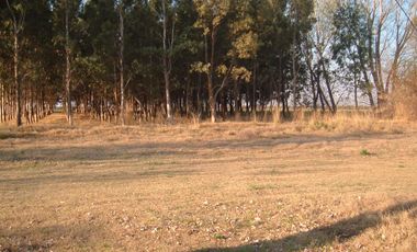 Campo en Resolana 1887 Has a 31km de San Rafael