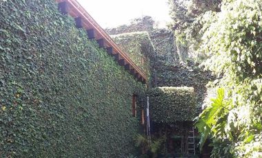 Linda casa  a la venta en calle cerrada, Lomas de San Ángel Inn.