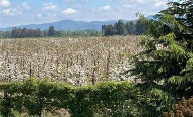 Agrícola en Venta en KM 1.5 CAMINO HACIA RIO CLARO