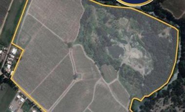 Parcela en Venta en KM 1.5 CAMINO HACIA RIO CLARO