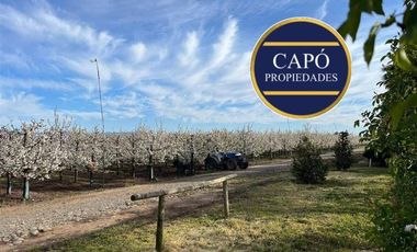 Parcela en Venta en KM 1.5 CAMINO HACIA RIO CLARO