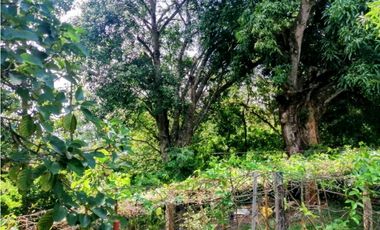 VENTA DE CASA INDEPENDIENTE EN SOPETRAN