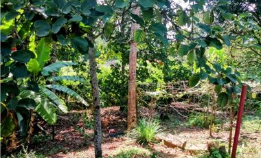 VENTA DE CASA INDEPENDIENTE EN SOPETRAN