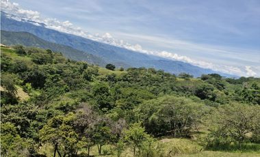 Venta De Lote En San Jeronimo
